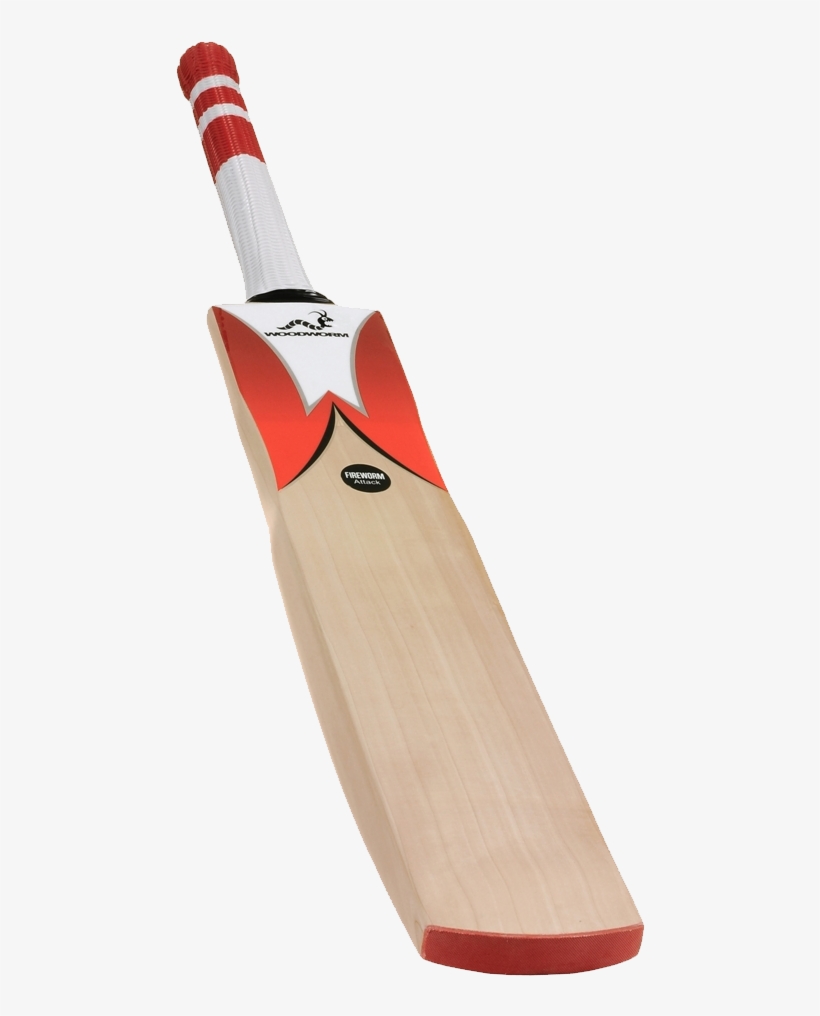 Woodworm Cricket Fireworm Attack Junior Bat - Woodworm Bats, transparent png download