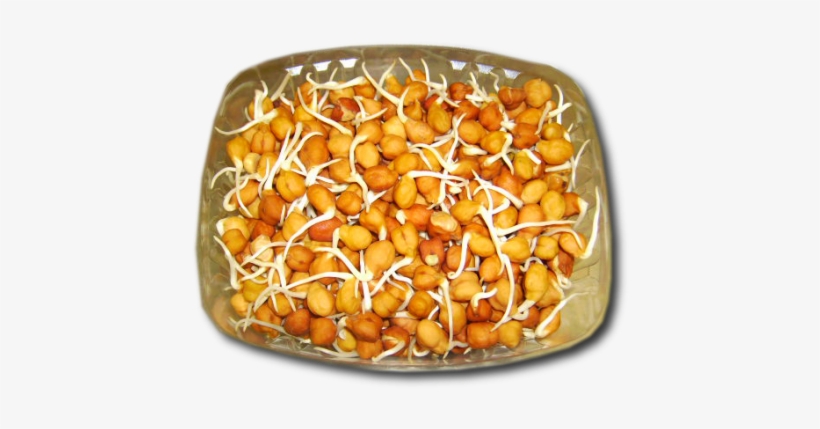 1hh04e7nbo1wc48 - Bean Sprouts, transparent png download
