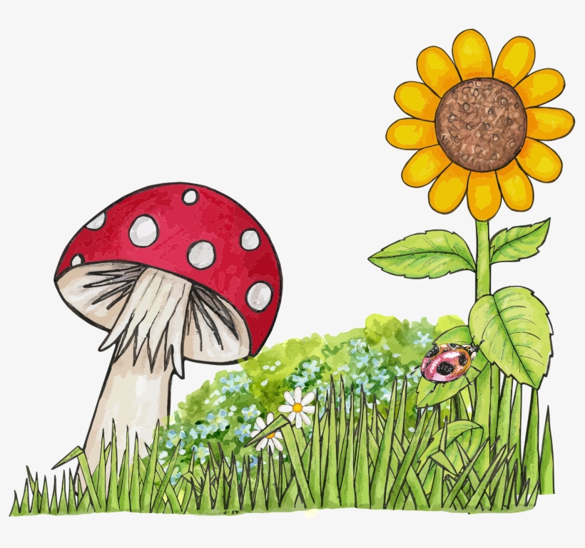Similar Cliparts - - Toadstool Clipart, transparent png download