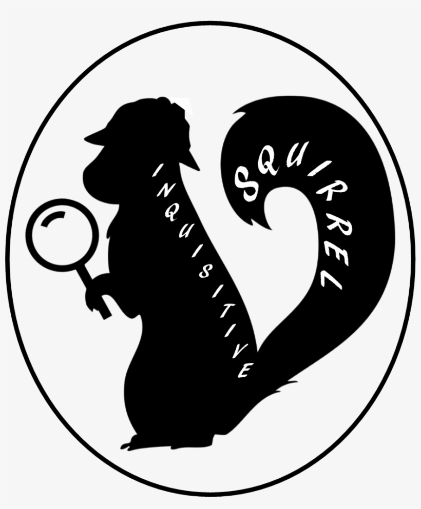 About - Squirrel, transparent png download