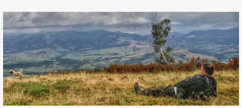 Address - Grass, transparent png download