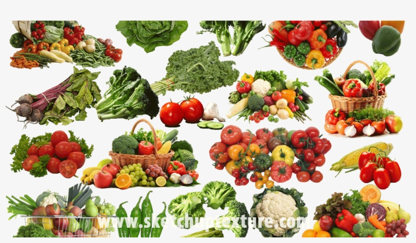 Moyeah Vacuum Sealer + Food Bags, transparent png download