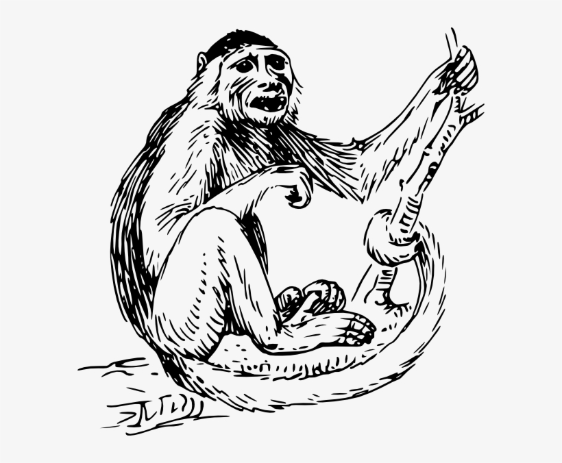Monkey Clip Art Black And White, transparent png download