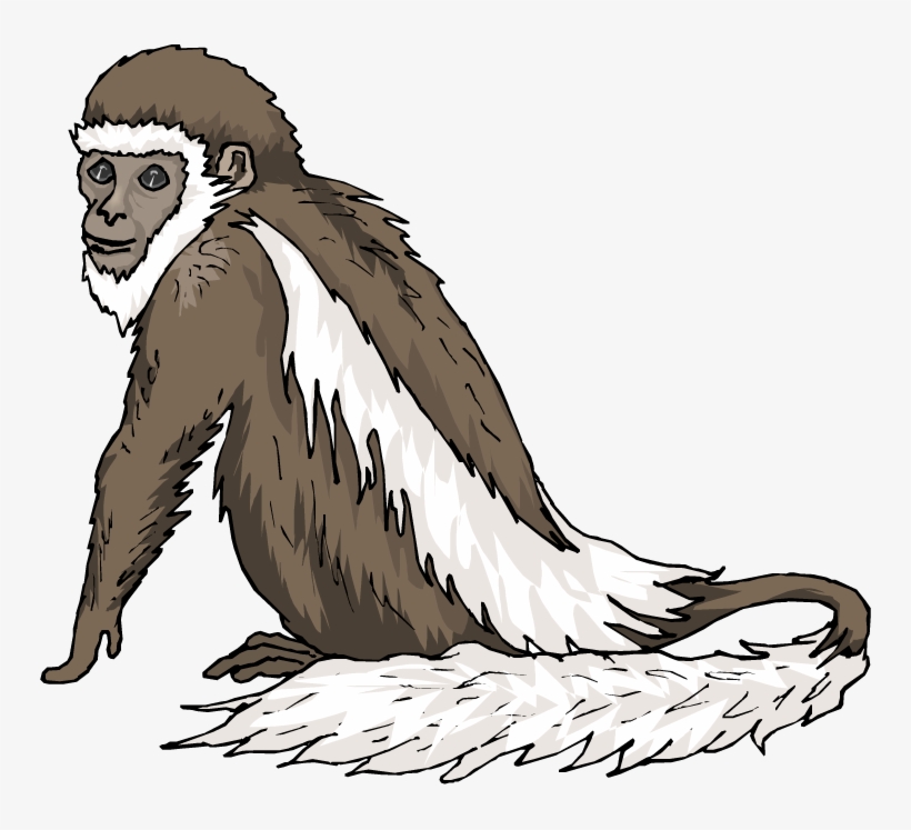Monkey Clipart - Colobus Monkey Png, transparent png download
