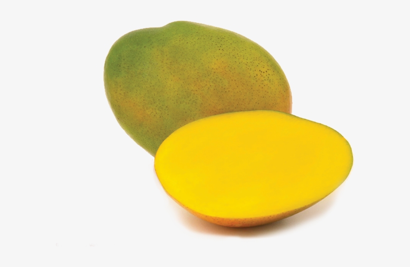 North - Mango Fruit, transparent png download