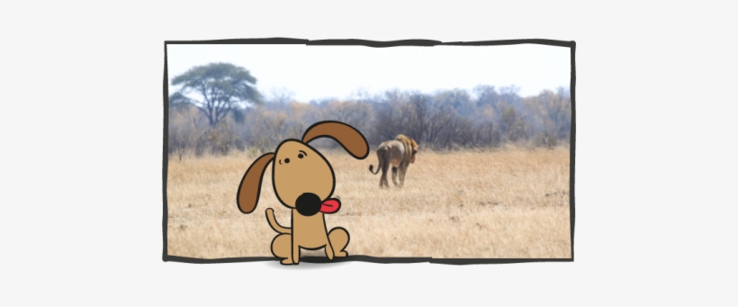 Just For Fun Dog On Safari - Lion Walk Away, transparent png download