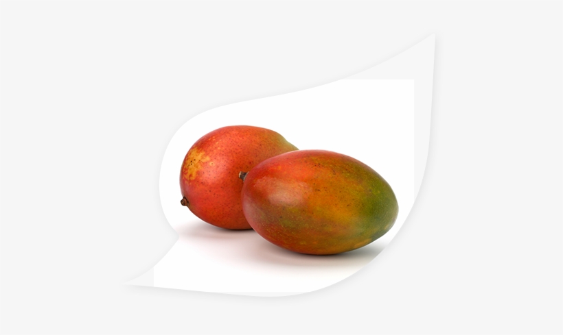 Mango, transparent png download