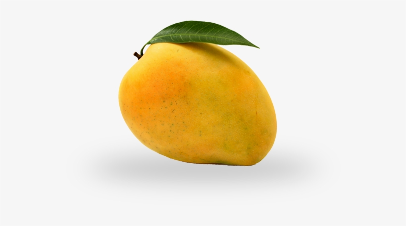 Check Out Simply Natural Farms Fruits And Veggies - Photograph, transparent png download