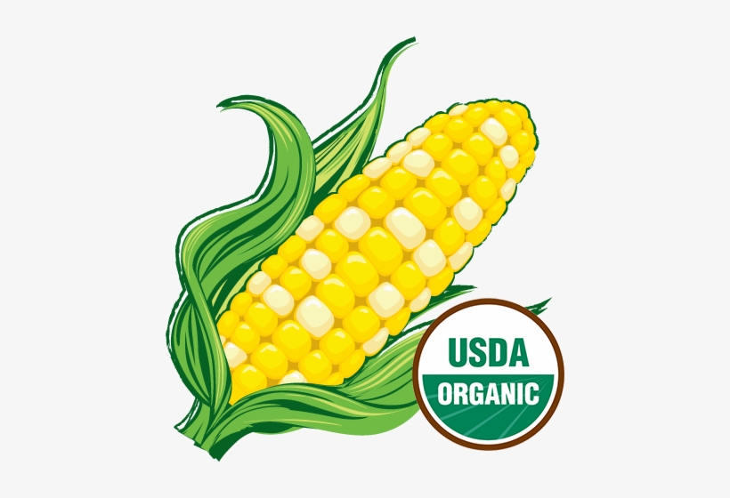 Organic-corn - Usda Organic, transparent png download