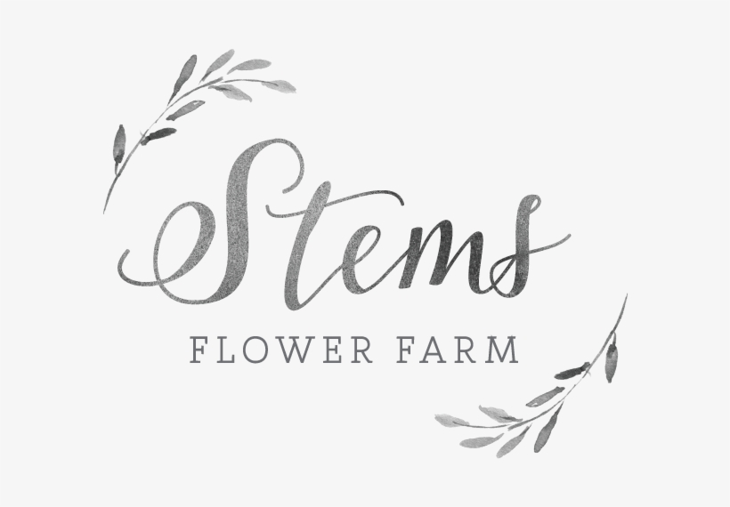 Marigold Seed - Nema Mix - Prairie Gentian, transparent png download