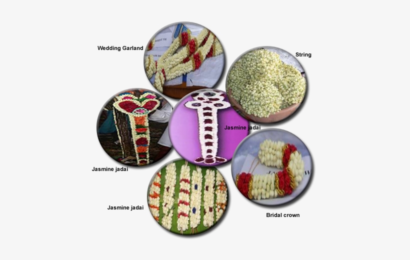 Veni Making - Cross-stitch, transparent png download