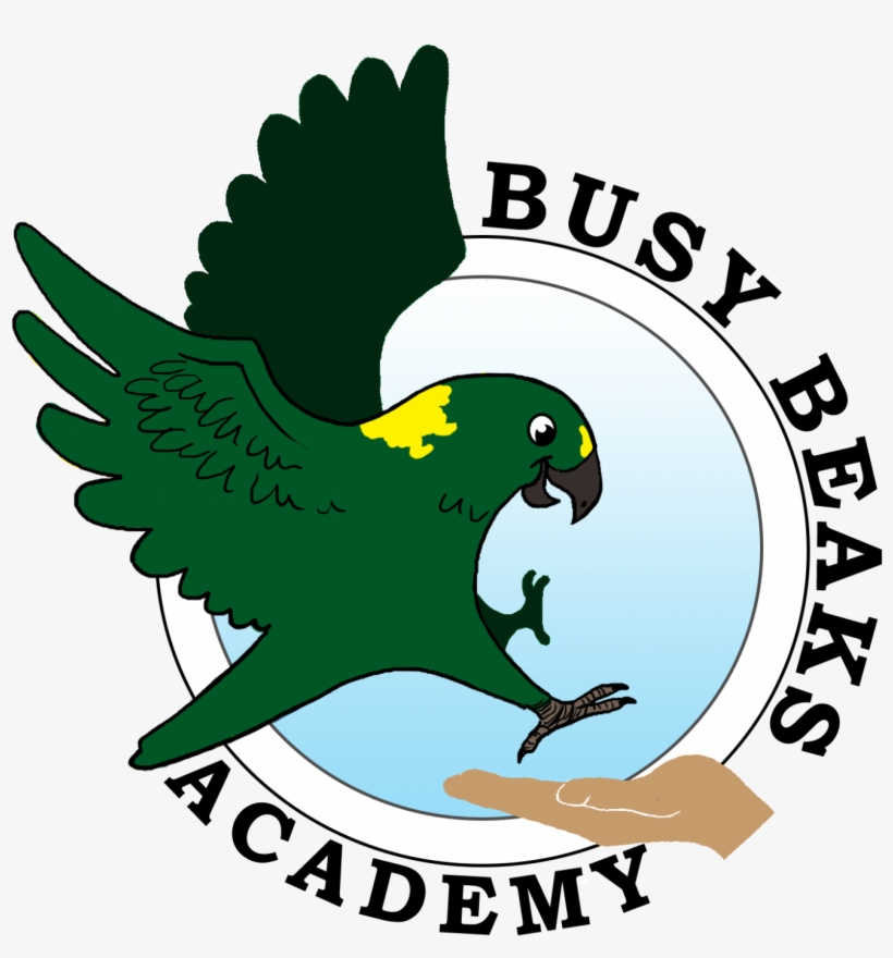 Busy Beaks Academy - Busy Beaks Llc, transparent png download