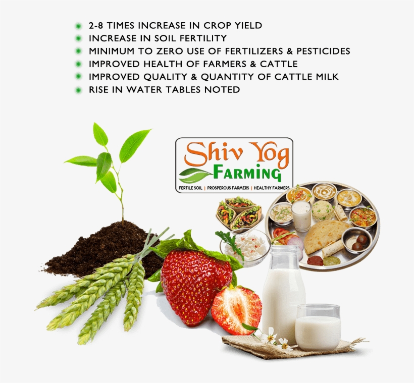 How Foods Affect Your Life - Shivyog, transparent png download