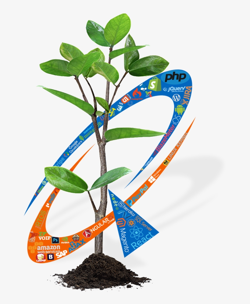 Ecommerce Website Design And Development - New York City, transparent png download