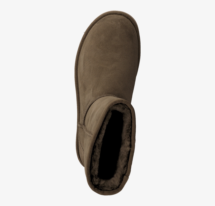 Short Dry Leaf Emu Women S Stinger Lo Ankle High Sheepskin Boot Png Image Transparent Png Free Download On Seekpng