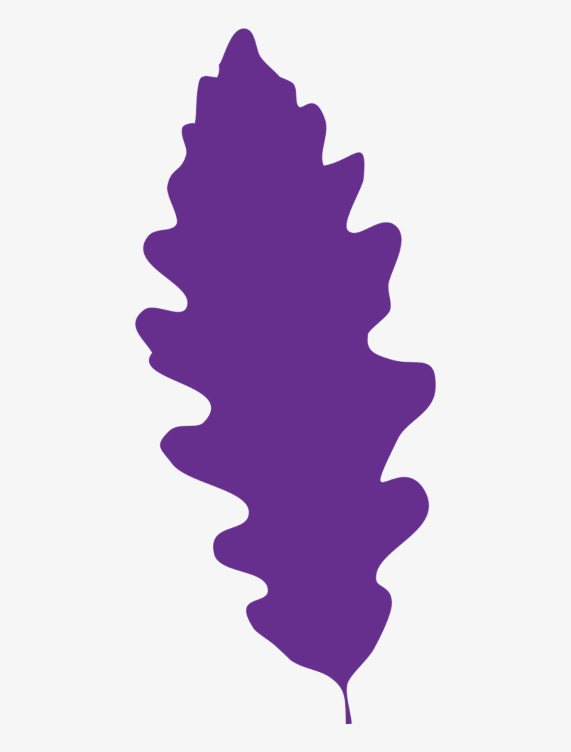 Leaf,autumn Leaf,dry Leaf,oak Leaf,oak,icon,colors - Leaf, transparent png download