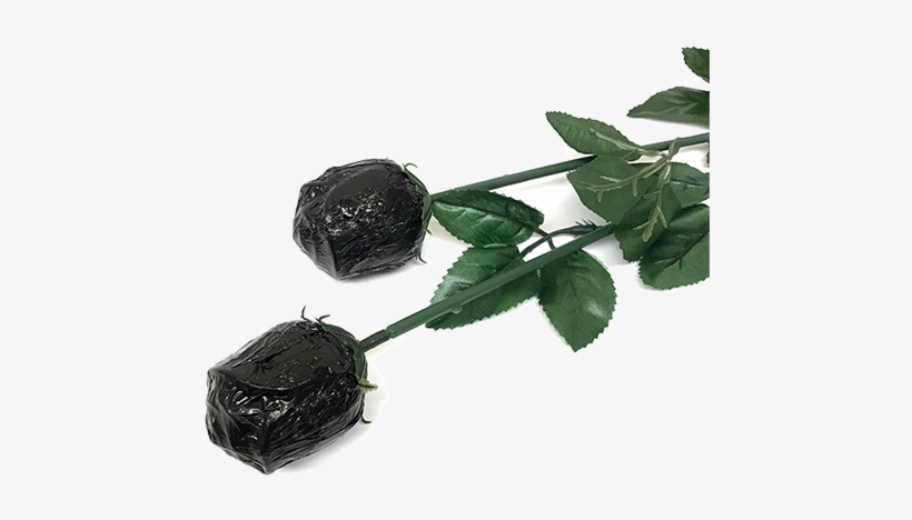 Black Foiled Belgian Chocolate Color Splash Roses For - Belgian Chocolate, transparent png download