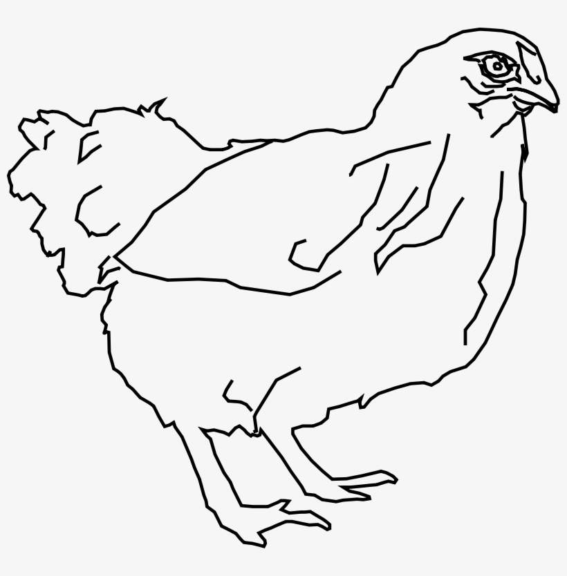 Monochrome Clipart Hen - Hen Black And White Clipart, transparent png download