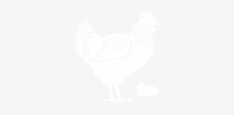 Poultry - Turkey, transparent png download