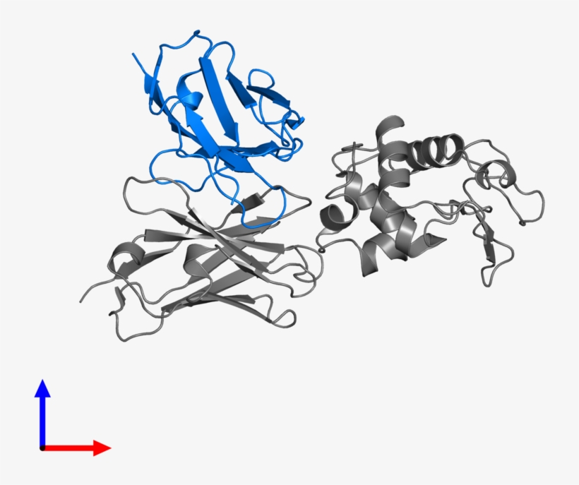 <div Class='caption-body'>pdb Entry 1g7m Contains 1 - Protein, transparent png download