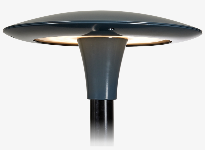 Prunus B - Sea, transparent png download