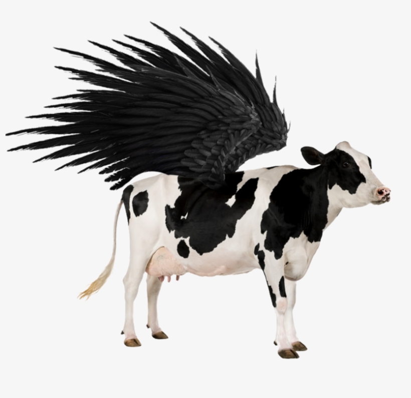 Related Wallpapers - Baby Touch And Feel Farm Animals By Dk, transparent png download