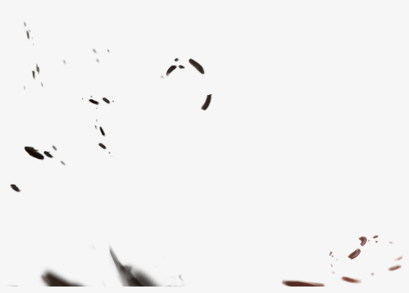 Seabird, transparent png download