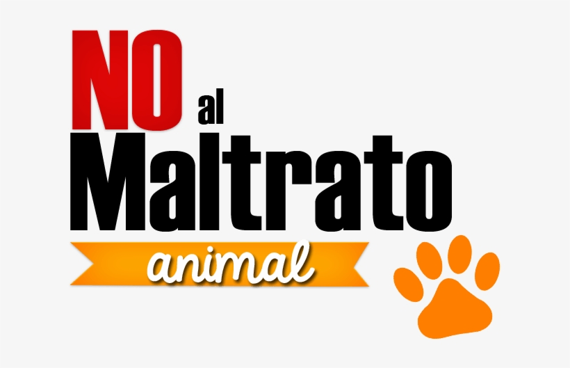 #santiago Harán Conversatorio En Torno A La Justicia - Private Event, transparent png download
