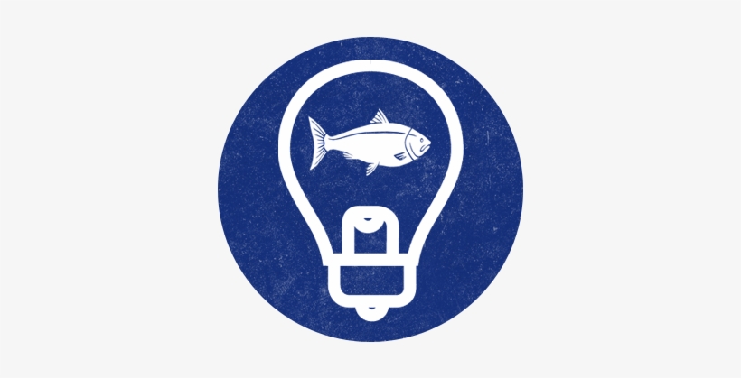 How Does Real Good Fish Implement These Values - Creativity, transparent png download