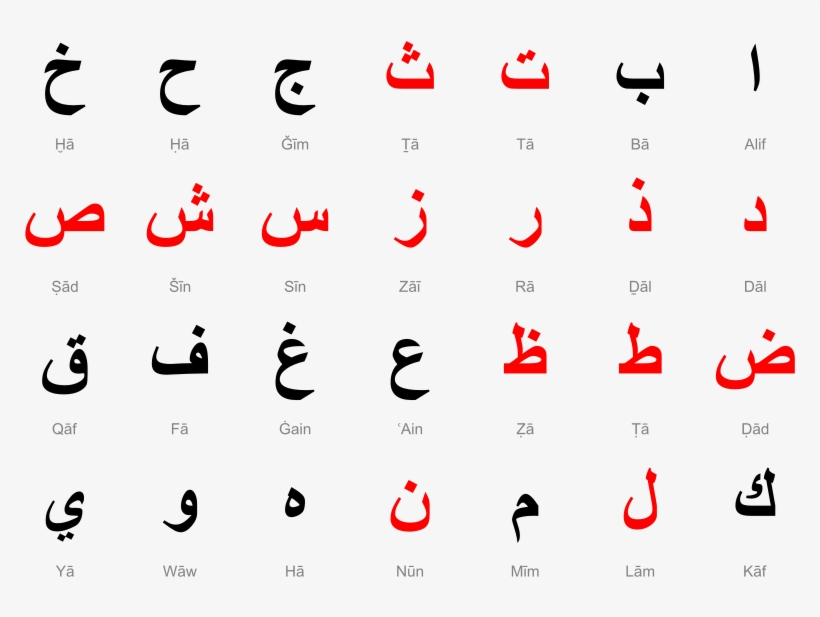 Want To Hear More Sign Up For One Of Our Newsletters - Arabic Alphabet, transparent png download