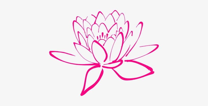 Flower Pink Blossom Pegals Lotus Lotus Lot - Fleur Lotus Png, transparent png download