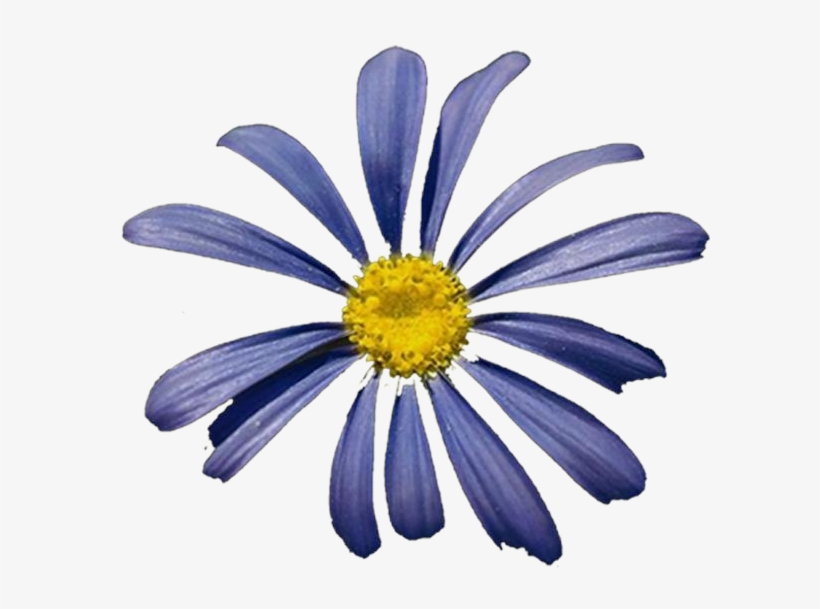 Photoshop Clipart Png - Hero Honda Karizma R, transparent png download