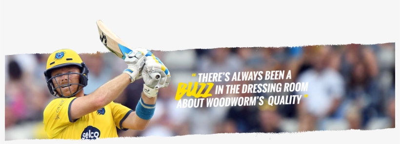 Woodworm Cricket Ib 625 Cricket Bat - Fishing Reel, transparent png download