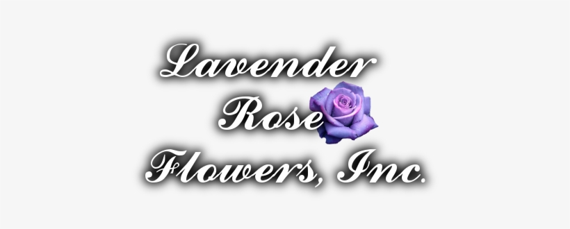 Lavender Rose Flowers, Inc - Angel Light's Connecting With Our Higher Selves Course, transparent png download