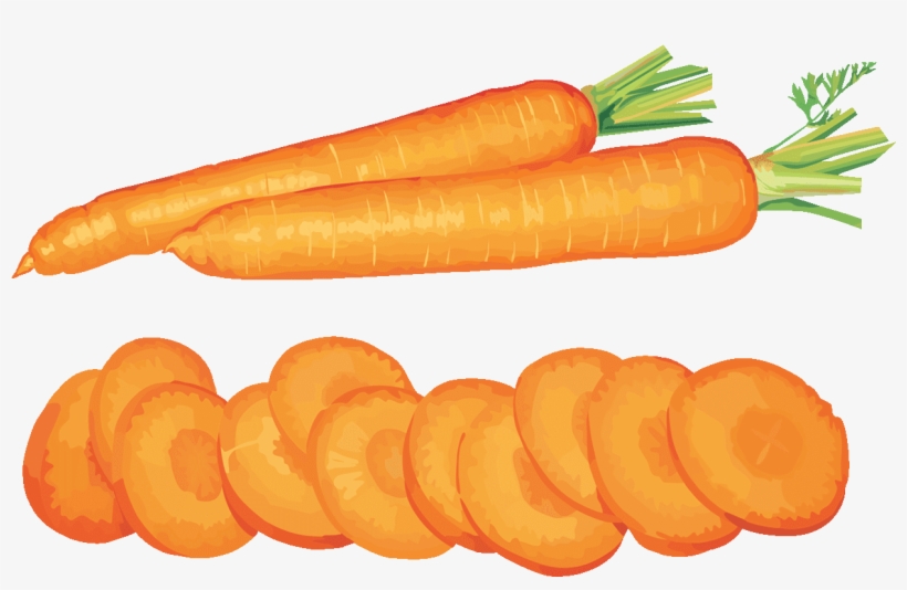 Banner Transparent Stock Carrot Vegetable Fruit Clip - Морковь Нарезанная Пнг, transparent png download