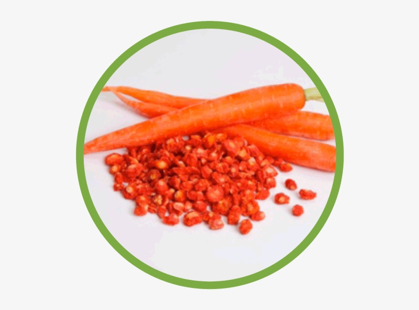 Carrot Md Circle - Carrot In Circle, transparent png download