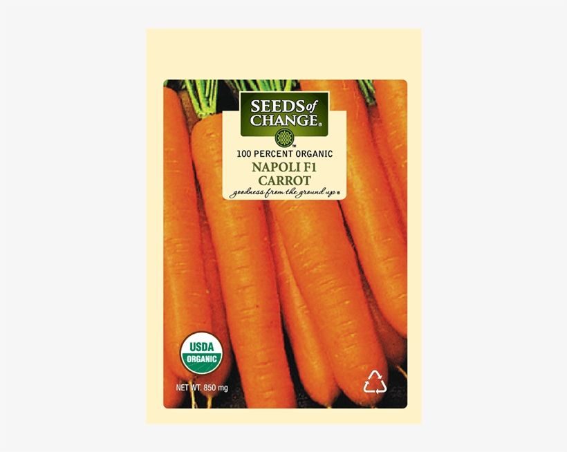 Organic Napoli F-1 Orange Carrot Seeds - Seeds Of Change 06069 Certified Organic Dill, transparent png download