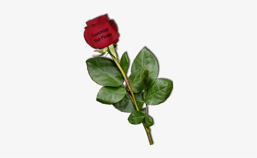 Delivery Available - Delivery, transparent png download