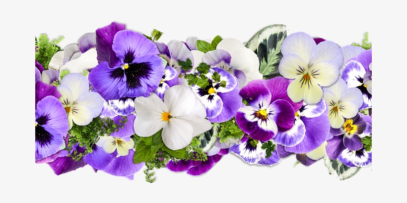 Line Of Flowers - Classic Flowers For Happy Birthday, transparent png download