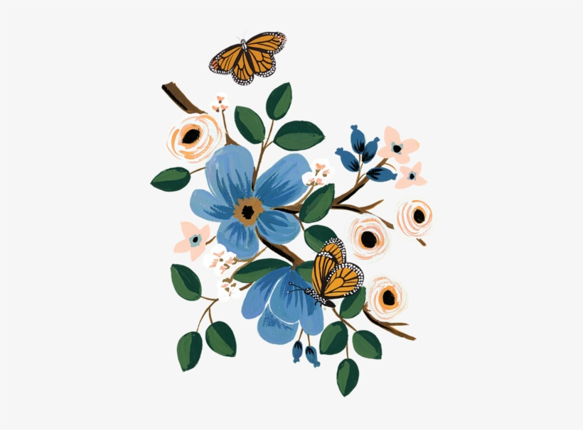 Monarch - Rifle Paper Co, transparent png download