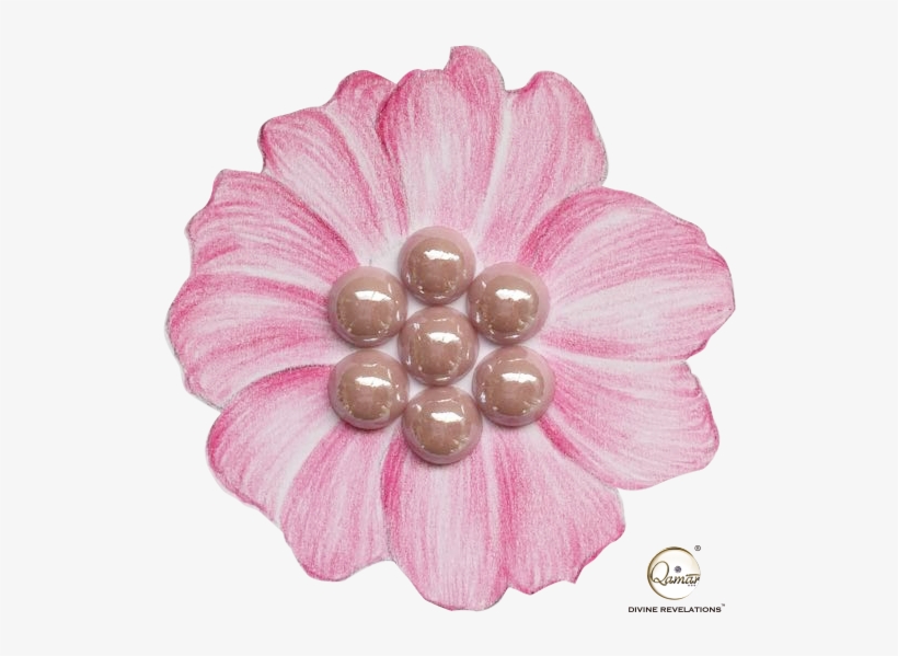 Burgundy, transparent png download