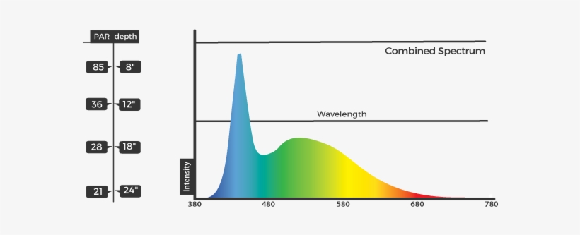 Watch A Storm - Utility Software, transparent png download