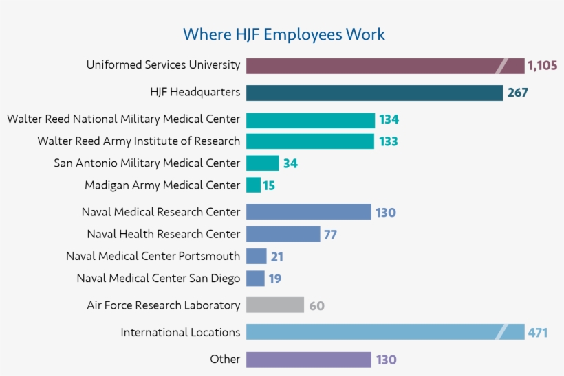 Hjf Supports A Wide Array Of Facilities, With Almost - Mexico Imports, transparent png download