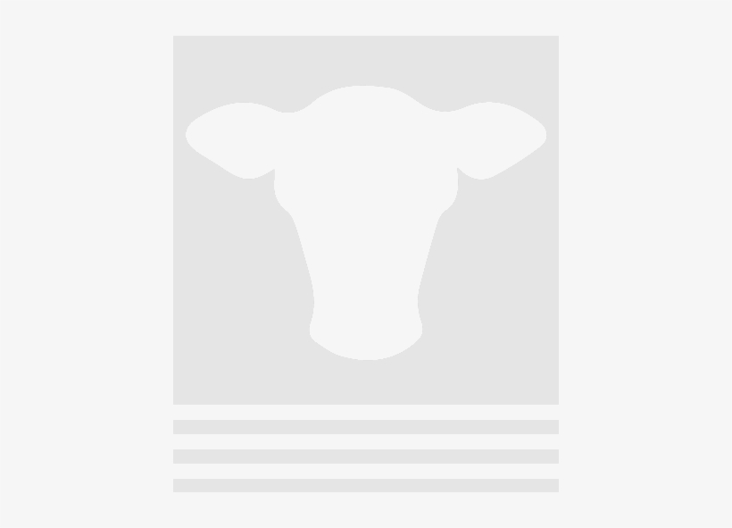 Tool, transparent png download