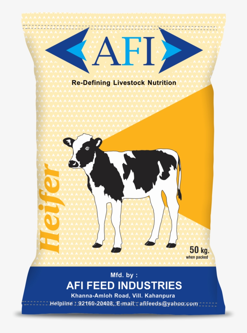 Afi Heifer - Dairy Cow, transparent png download