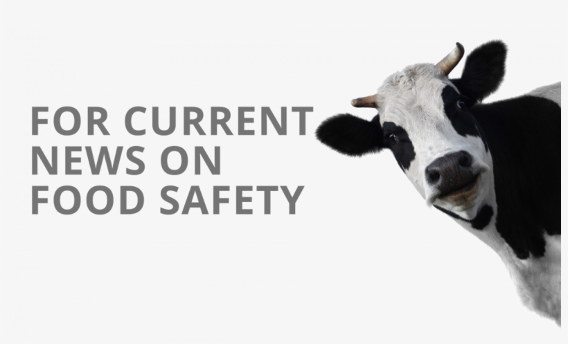 Cowbg Previous - Cow Head Transparent Background, transparent png download