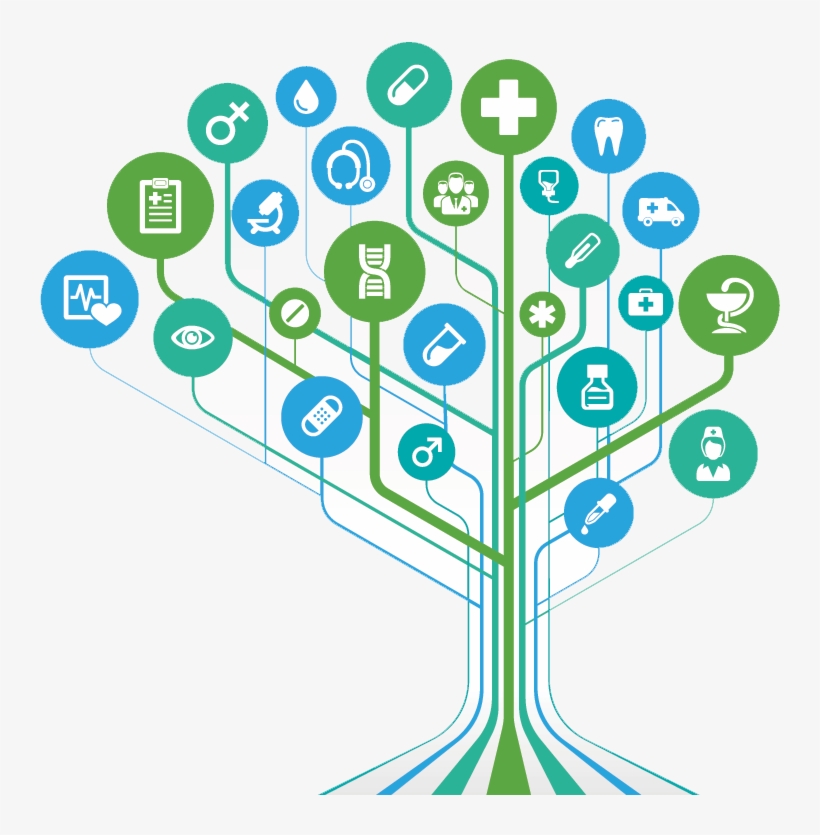 About Doctor Referred - Health Information Exchange Medical Center, transparent png download