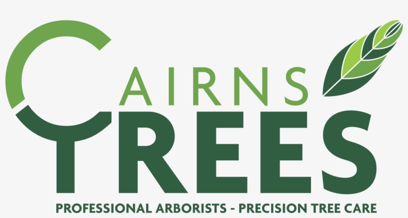 Cairns Trees - Sign, transparent png download