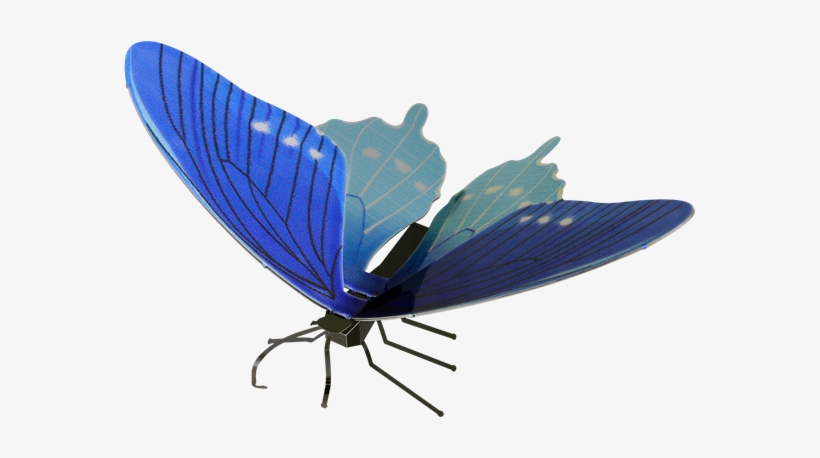 Metal Earth Butterflies - Pipevine Swallowtail, transparent png download