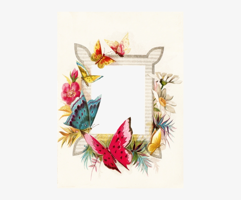 Butterfly With Flower Frames Png, transparent png download
